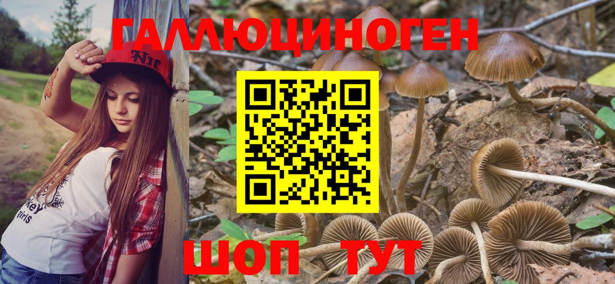 Галлюциногенные грибы Psilocybine cubensis  Галлюциногенные грибы Psilocybine cubensis  Электросталь  Вход с VPN 